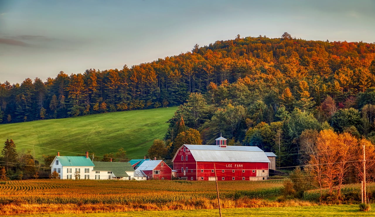 house and forest, lively colors in New Hampshire